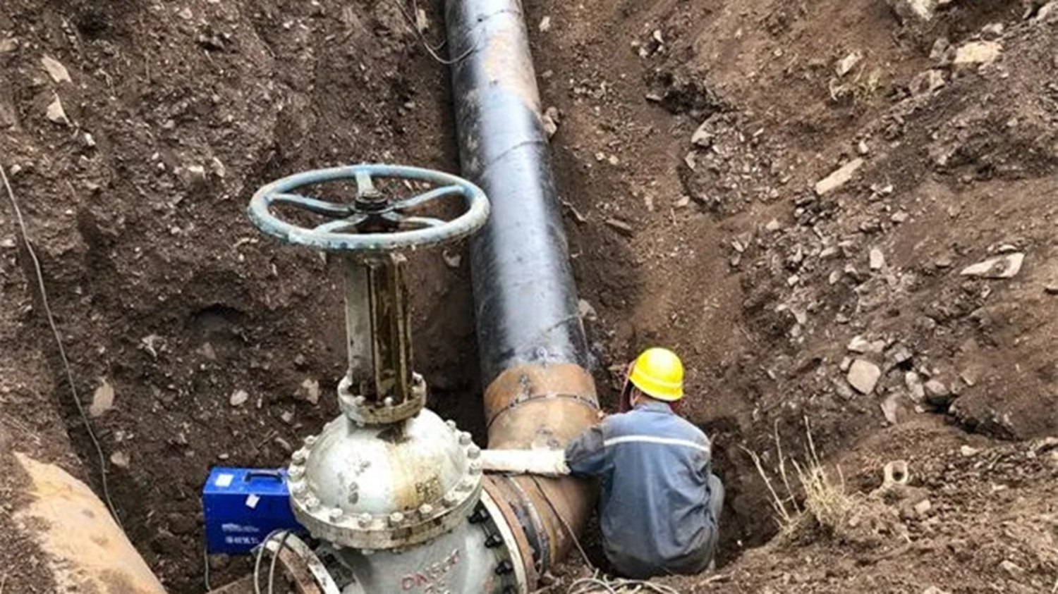 石嘴山市盐碱地高效利用项目