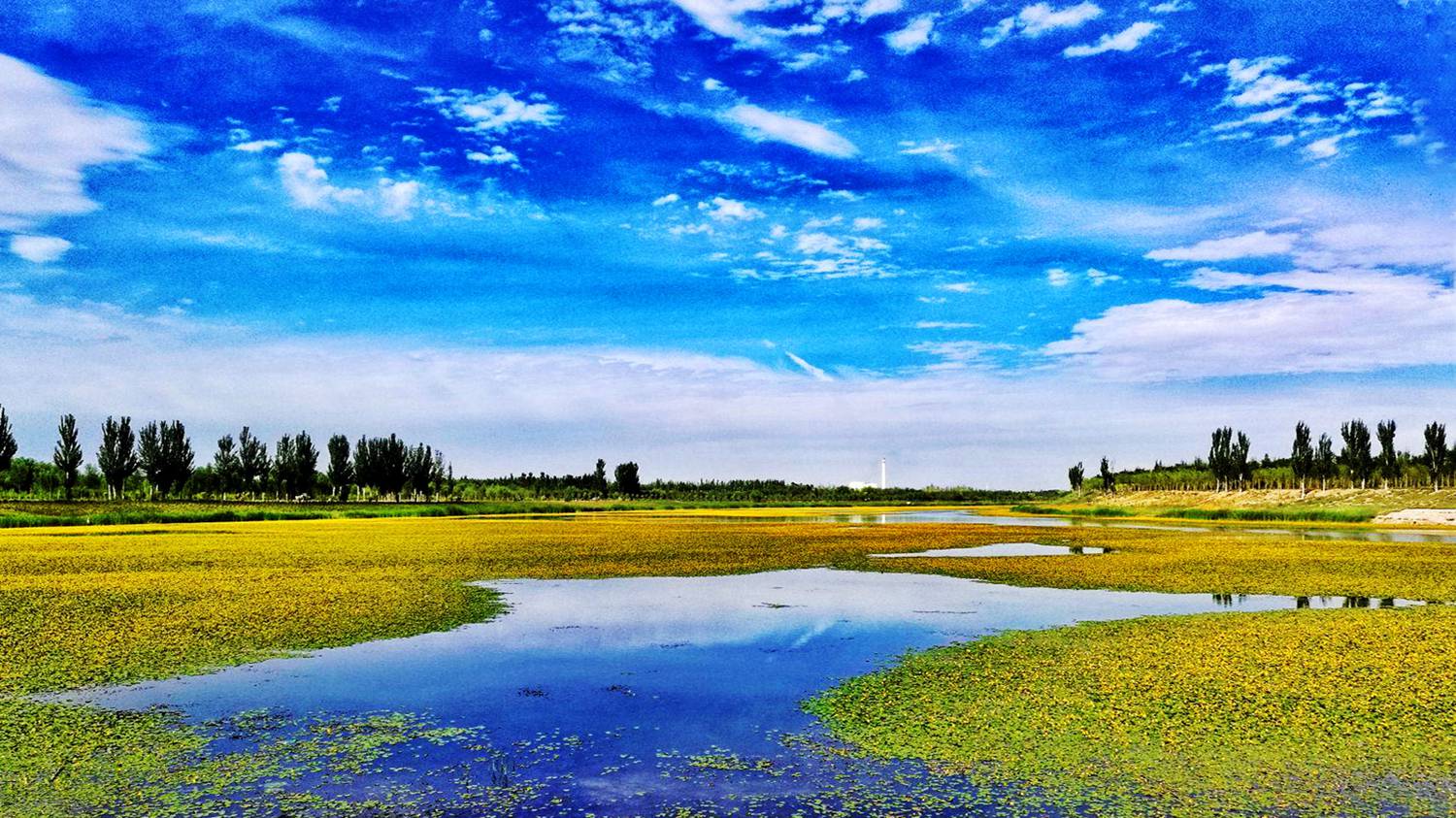 典农河水环境生态修复项目
